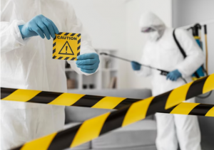 Asbestos in Ipswich: What Every Homeowner Needs to Know